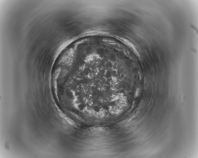 X0000095921231200802011205