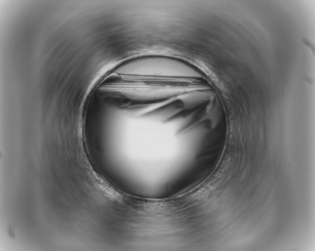 X0000095921232200802011205