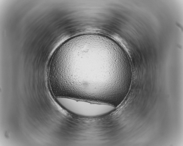 X0000095921235200802011206