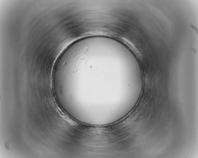 X0000095921236200802011206