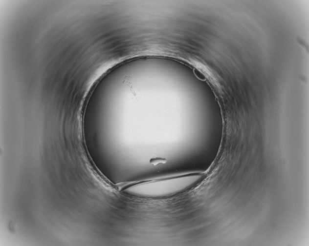 X0000095921238200802011206