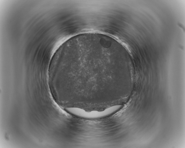 X0000095921239200802011206