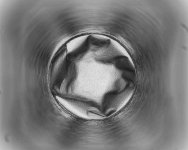 X0000095921240200802011206