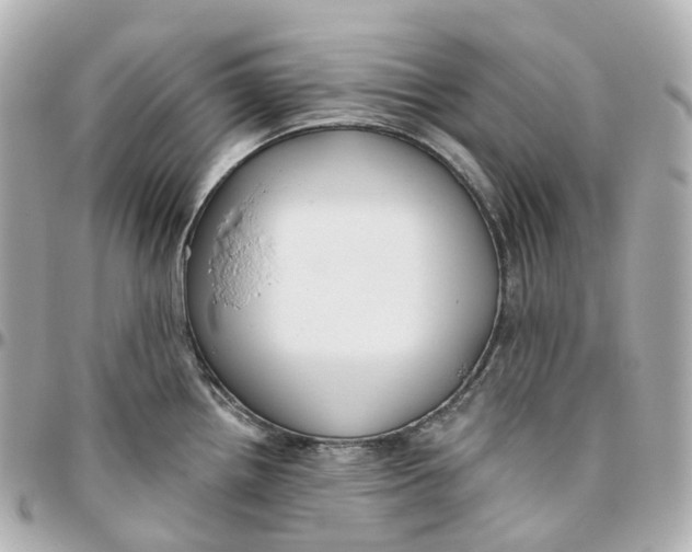 X0000095921242200802011206