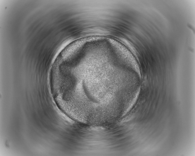 X0000095921243200802011206