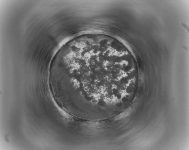 X0000095921245200802011206