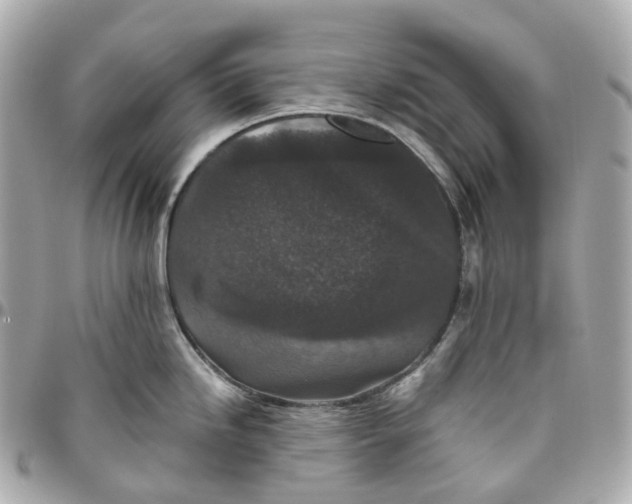 X0000095921246200802011206