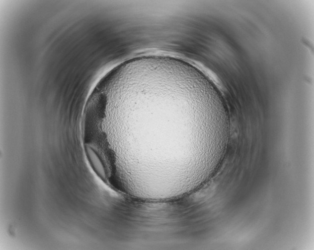 X0000095921247200802011206