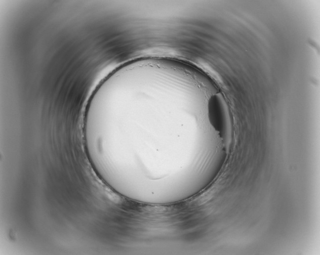 X0000095921248200802011206