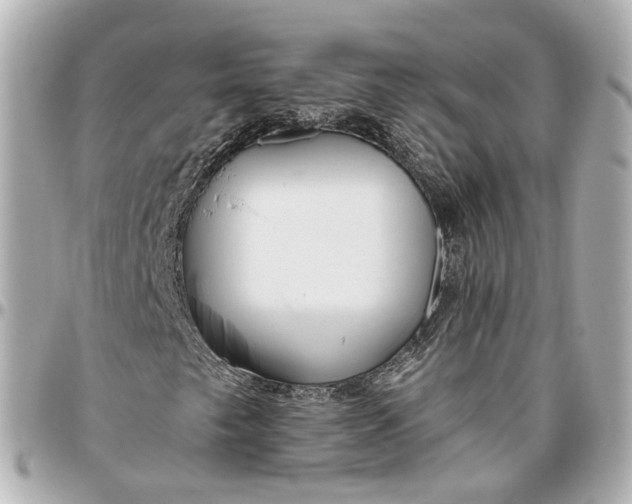 X0000095921249200802011205