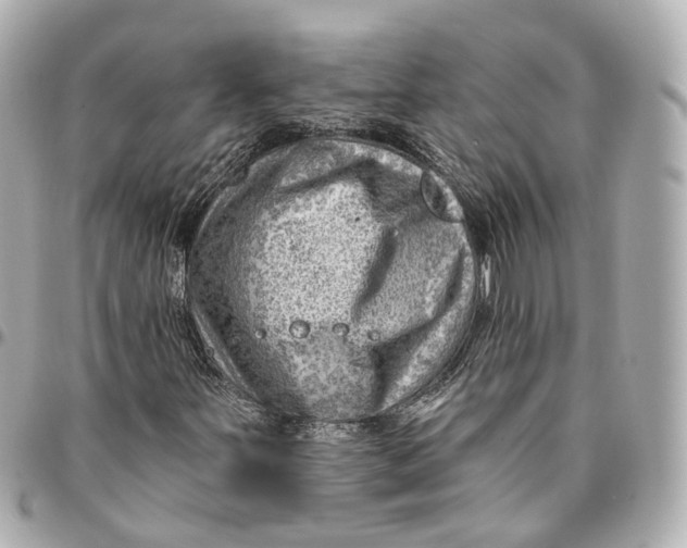 X0000095921251200802011205