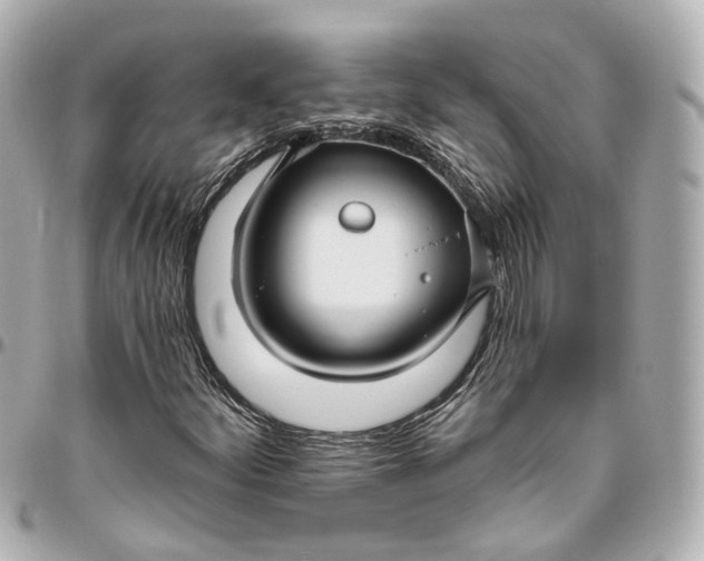 X0000095921252200802011205