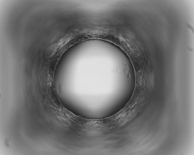 X0000095921253200802011205