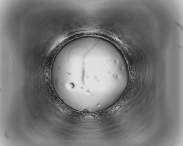 X0000095921255200802011205