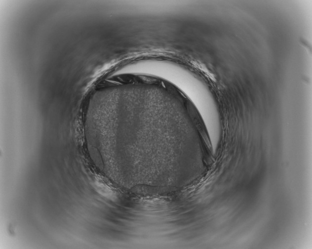 X0000095921256200802011205