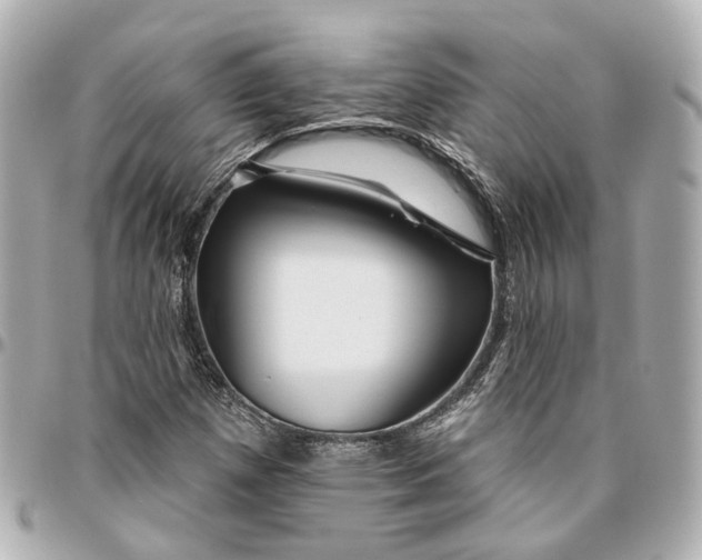 X0000095921257200802011205