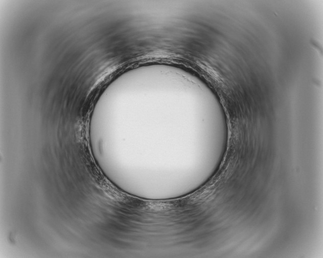 X0000095921258200802011205