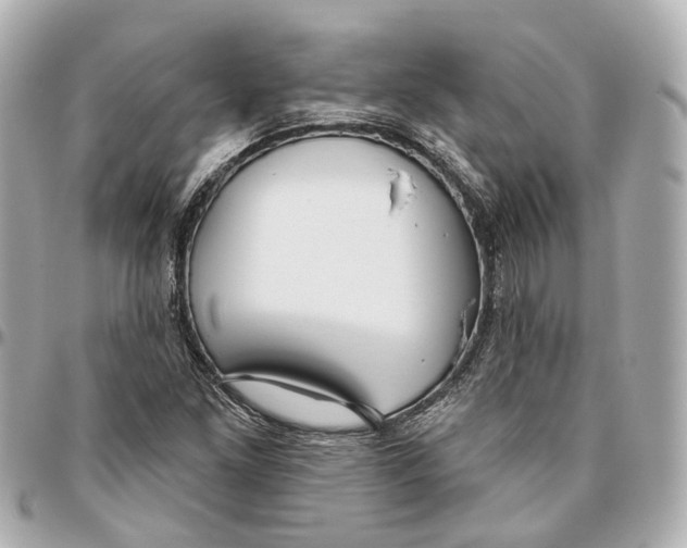 X0000095921261200802011205