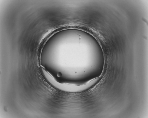 X0000095921262200802011205