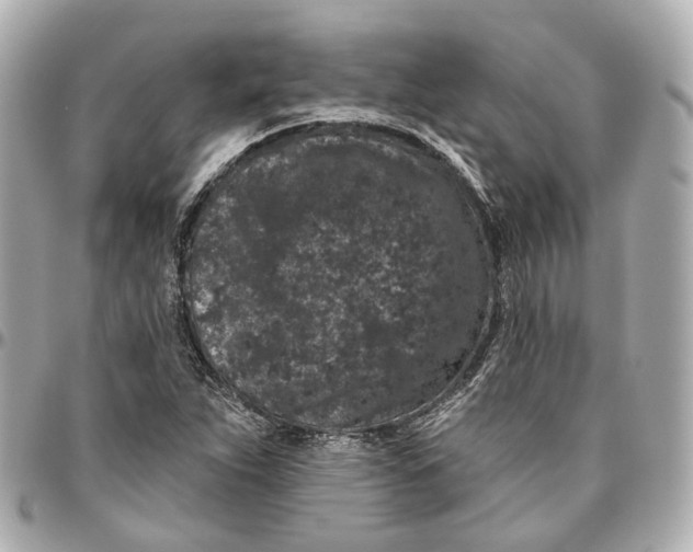 X0000095921263200802011205