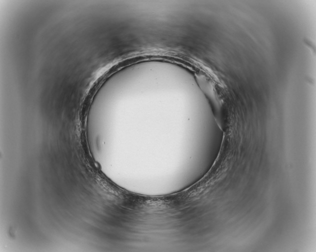 X0000095921264200802011205