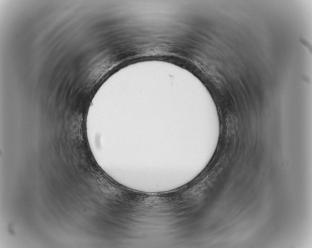 X0000095921265200802011205