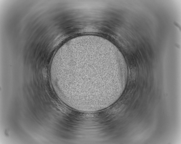 X0000095921266200802011205