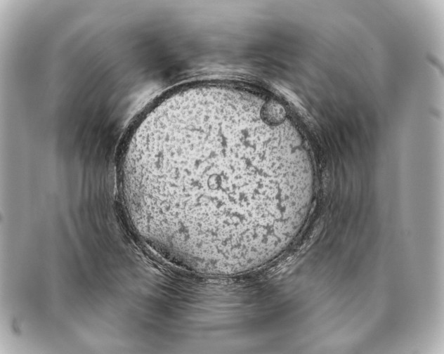 X0000095921267200802011205