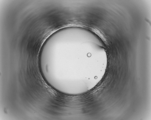 X0000095921268200802011205