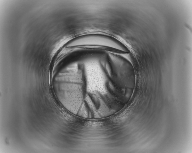 X0000095921269200802011205