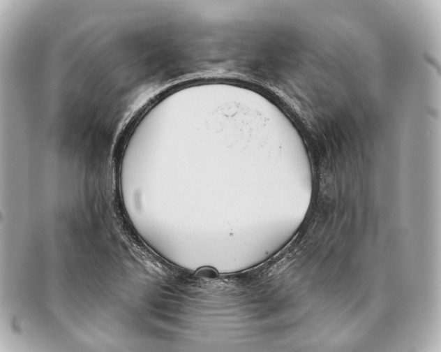 X0000095921270200802011205