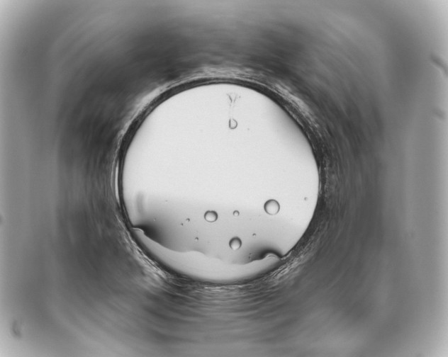 X0000095921272200802011205