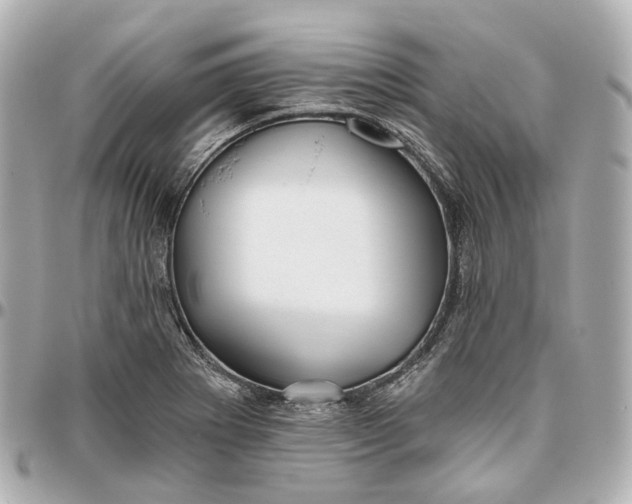 X0000095921273200802011205