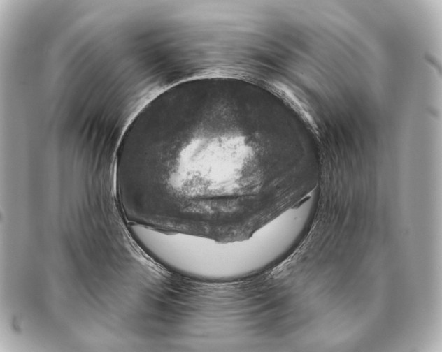 X0000095921276200802011205