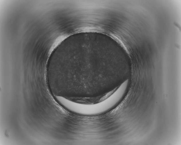 X0000095921277200802011205