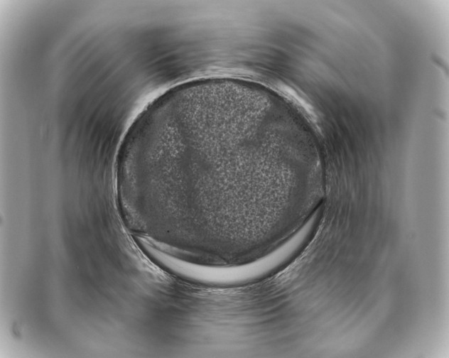 X0000095921280200802011205