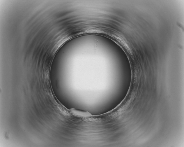 X0000095921281200802011205