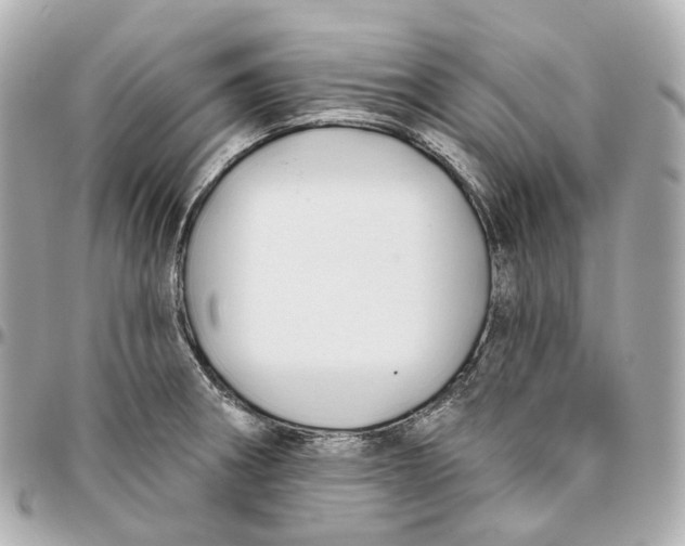 X0000095921282200802011205