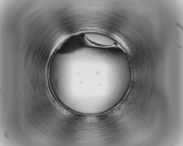 X0000095921283200802011205