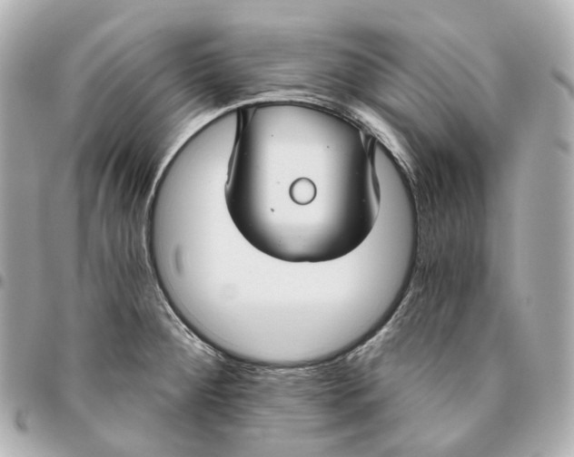 X0000095921284200802011205