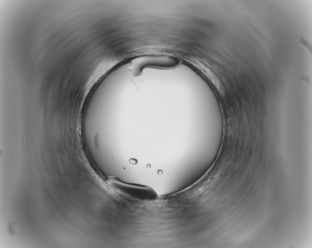 X0000095921285200802011205