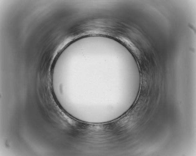 X0000095921286200802011205