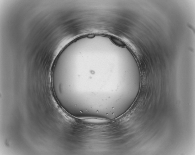 X0000095921287200802011205