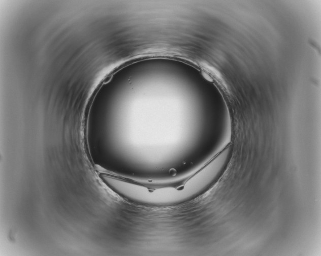 X0000095921288200802011205