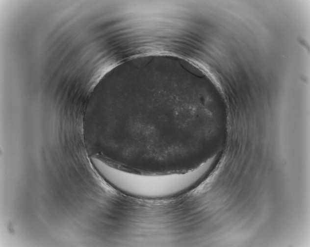 X0000095921289200802011204