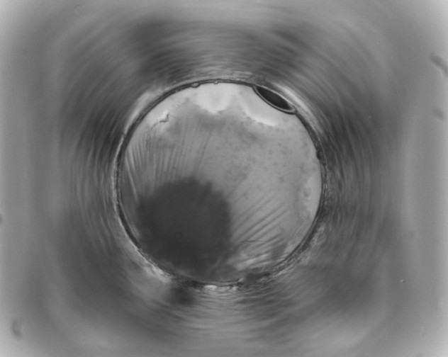 X0000095921291200802011204