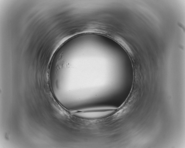 X0000095921292200802011204