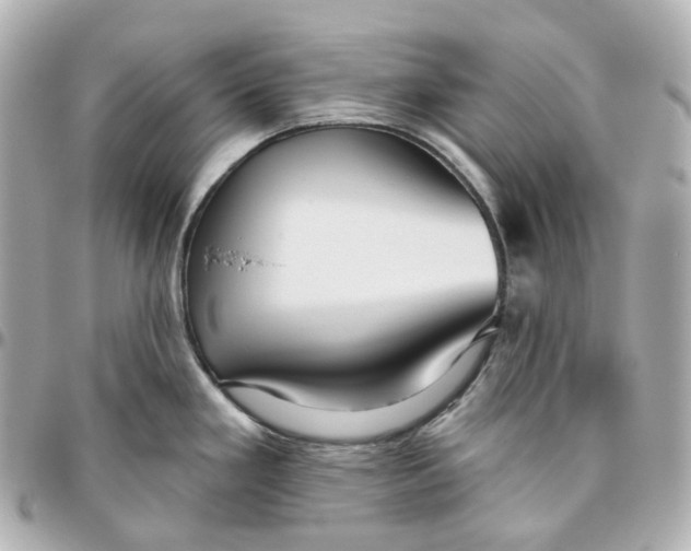 X0000095921293200802011204