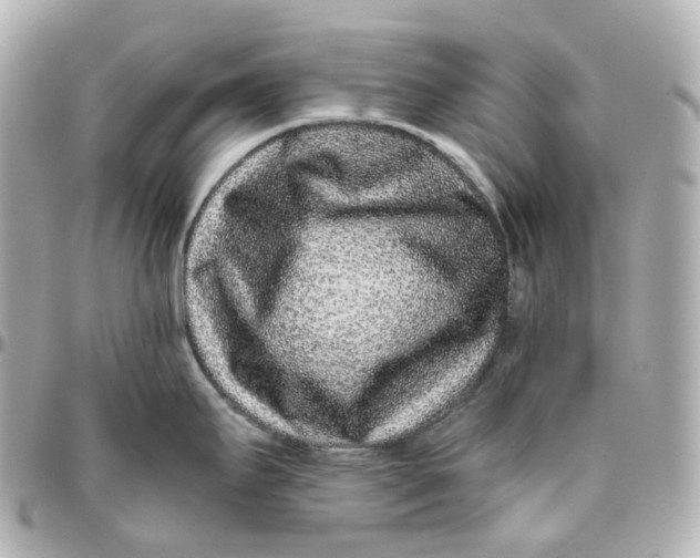 X0000095921295200802011204