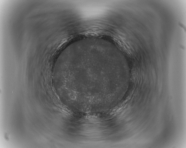 X0000095921297200802011204